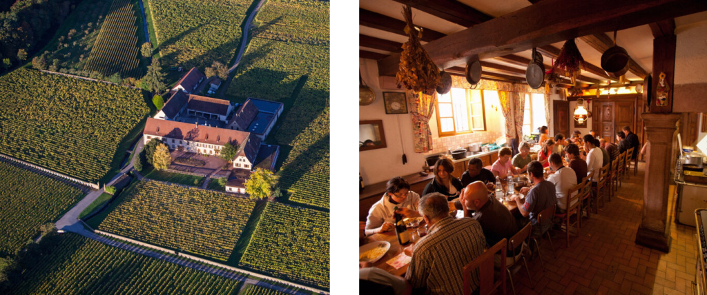 Weinbach copy.jpg Weinbach copy.jpg