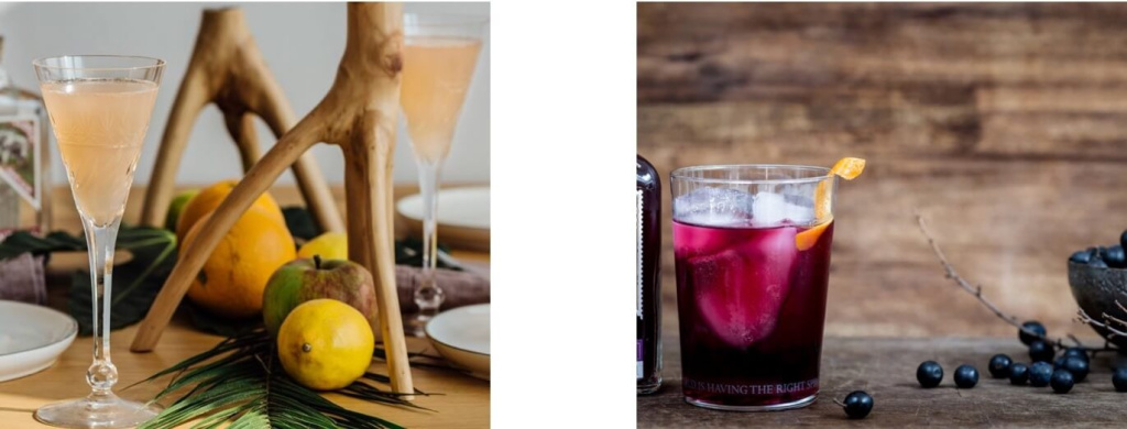 Gin cocktails.jpeg fv7ffnvvyc1a3hfeh1syeflbbcdotjfj.jpeg